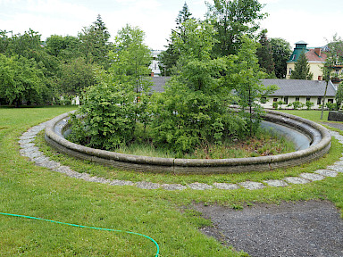 Verfallenes und zugewachsenes Brunnenbecken im Konvents-Garten