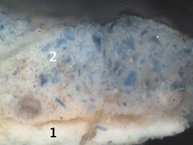 Coat with blue colour residues