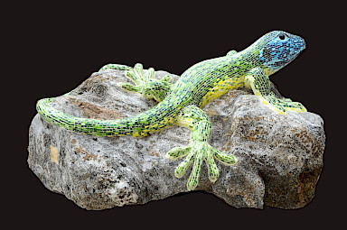 emerald lizard